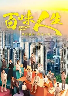 雾港夜航 剧集版